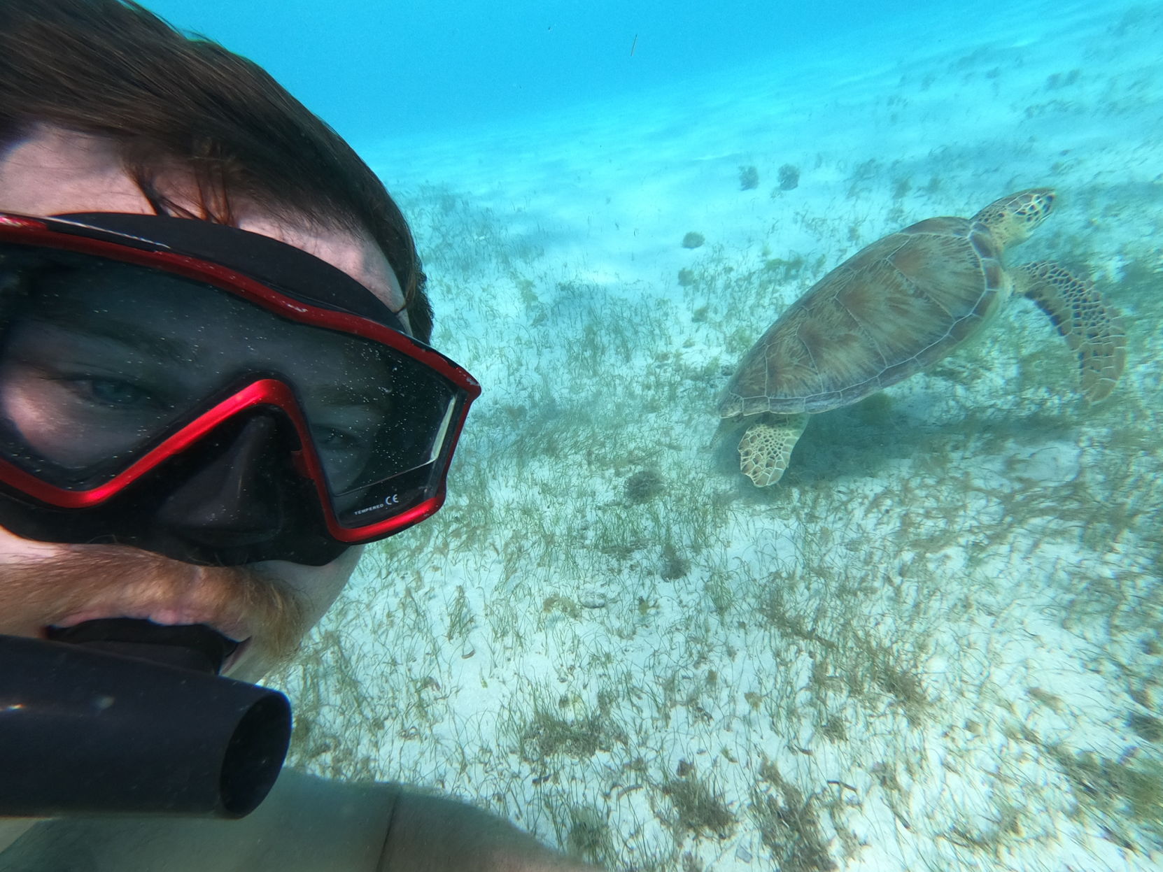 AW_caribbeandiving.JPG